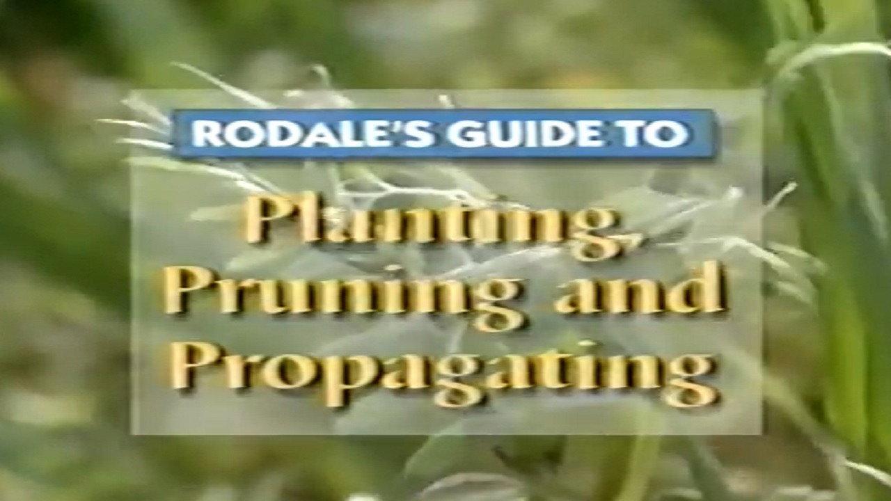 Rodale's Guide to Planting, Pruning and Propagating backdrop
