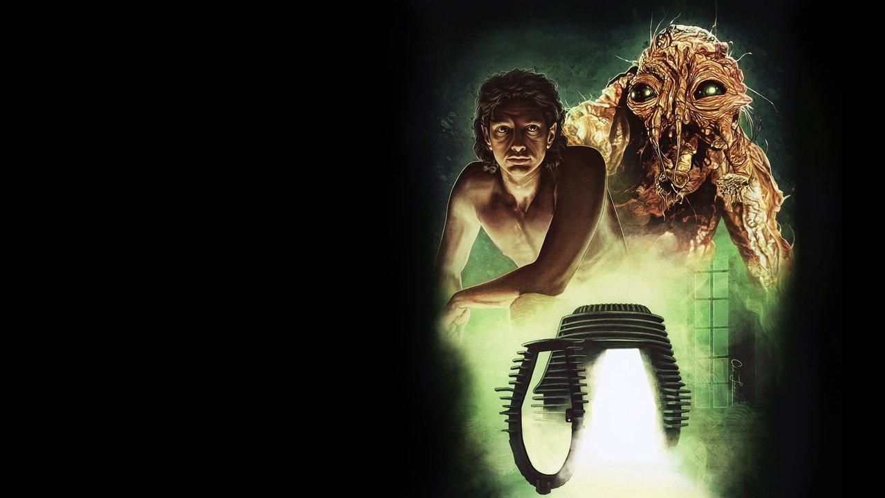 The Fly backdrop