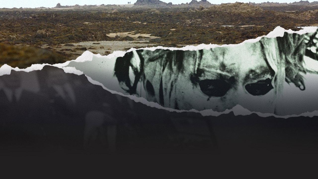The Jersey Way: Inside the Island's Scandals backdrop