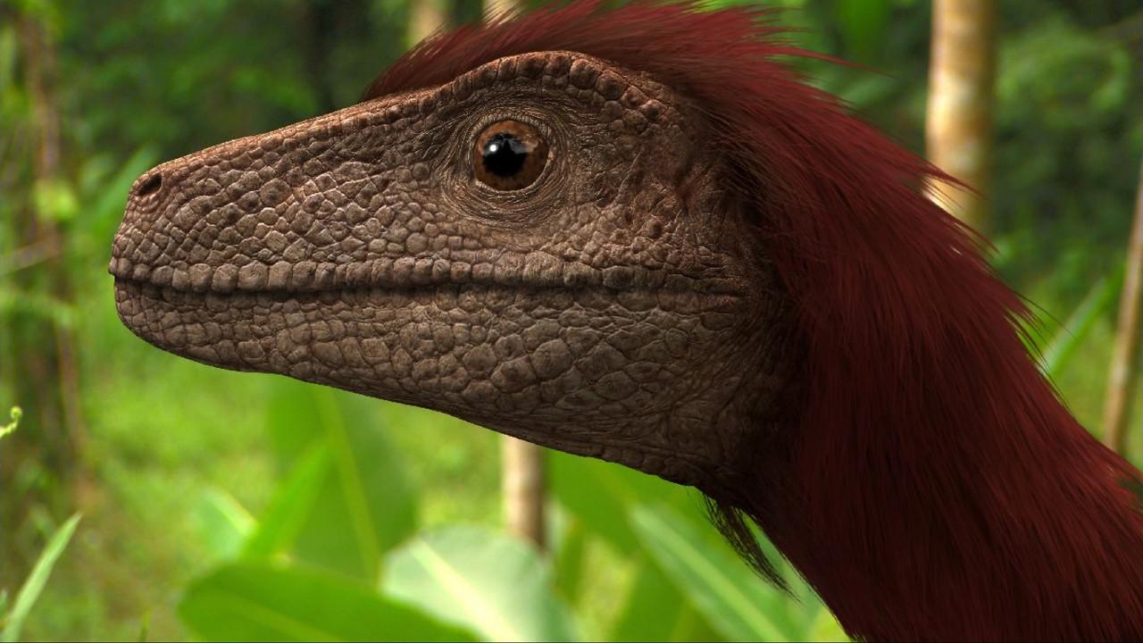 Dinosaur Planet backdrop