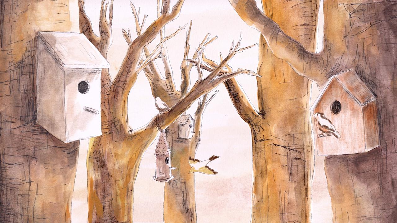 Le chant des oiseaux backdrop