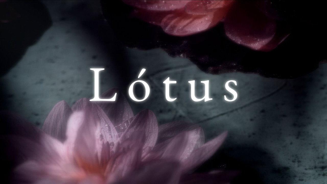 Lótus backdrop