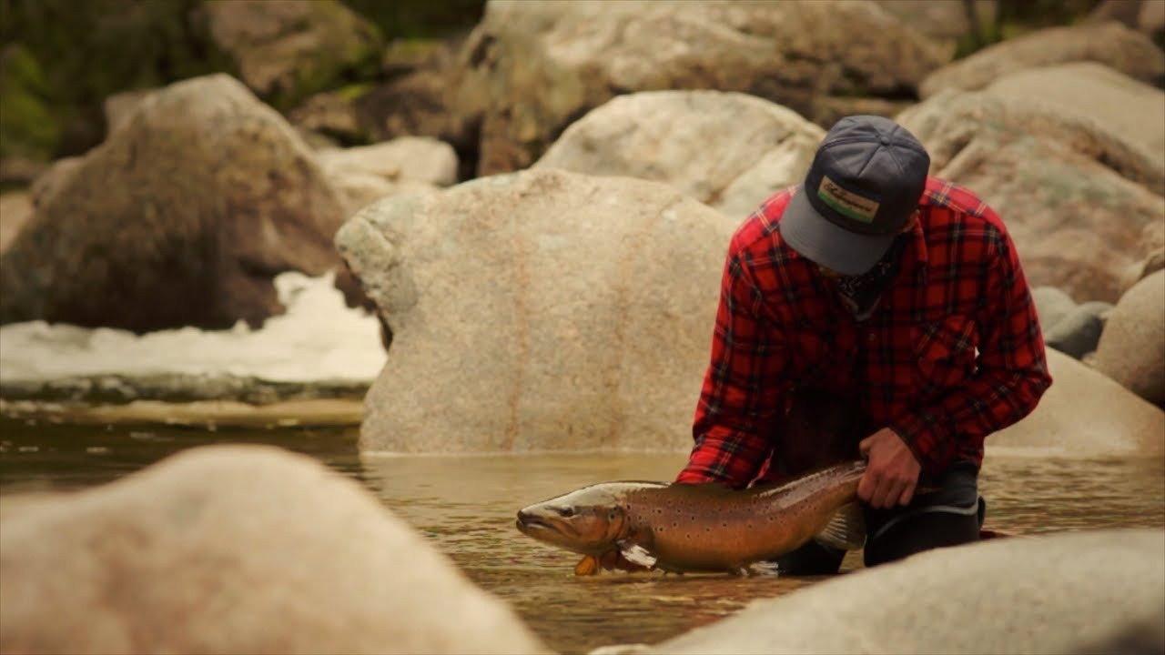 Only the River Knows backdrop