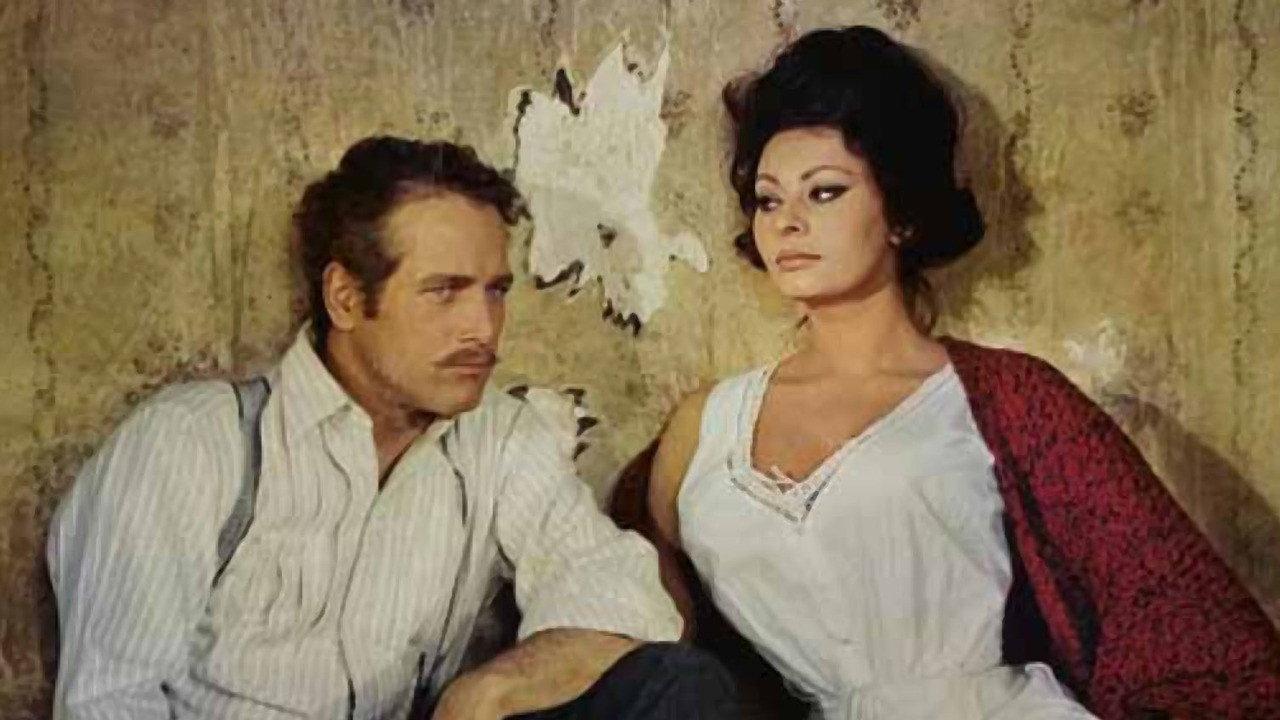 Lady L backdrop