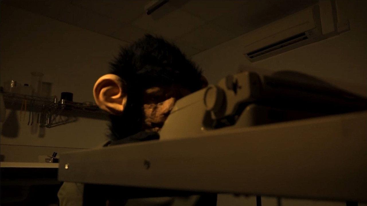 The Infinite Monkey Theorem backdrop