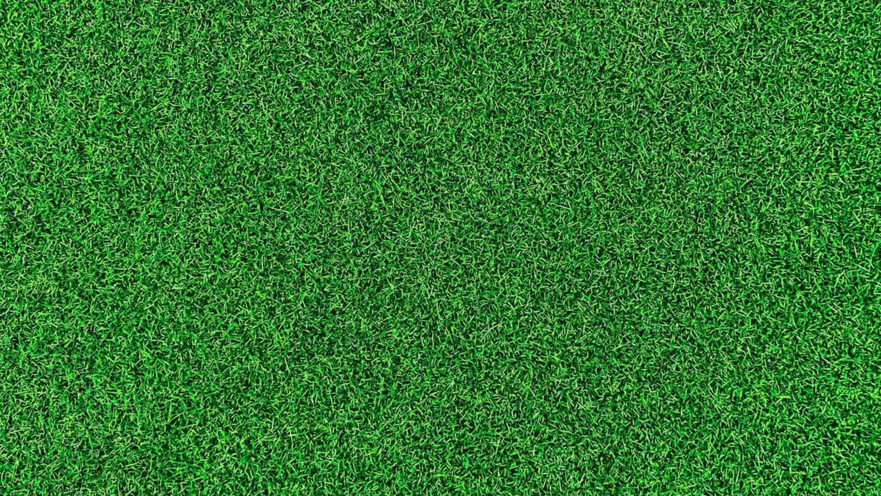 Life on the Green backdrop