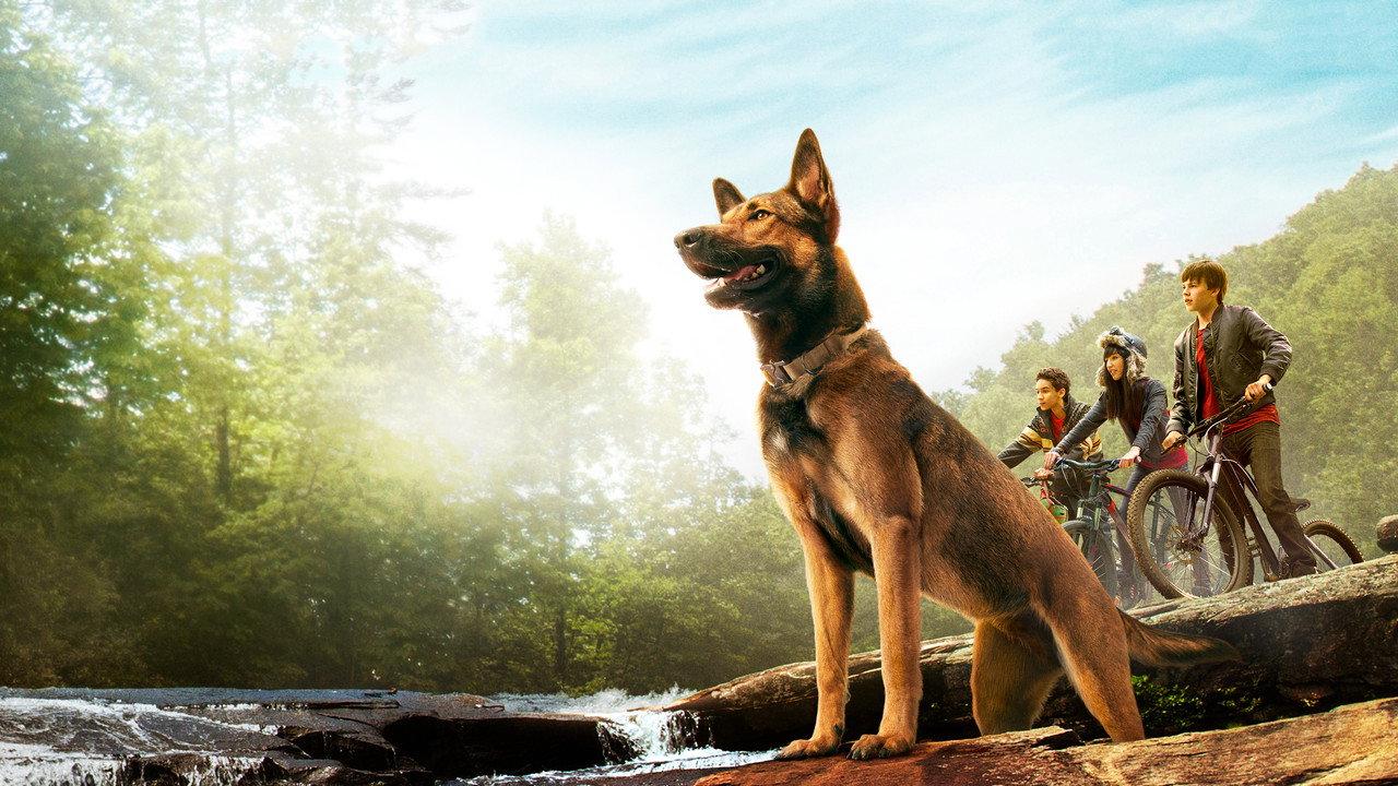 Max backdrop