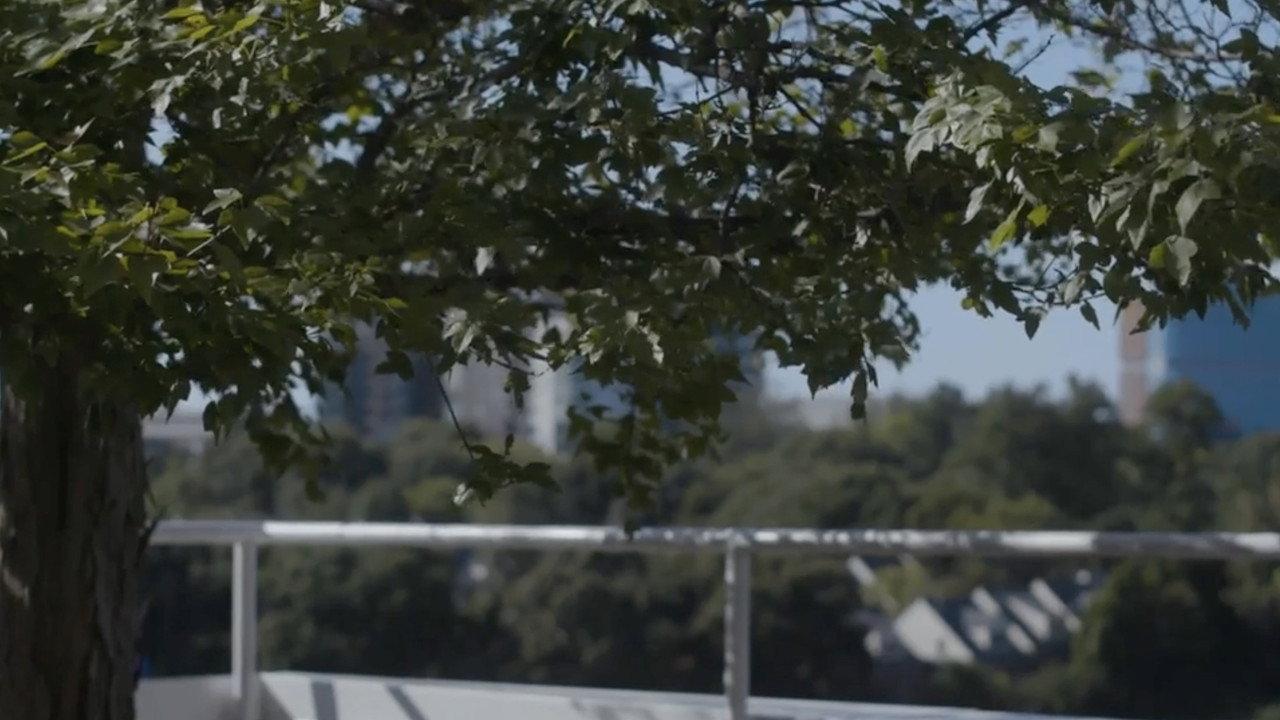 The City He Forgets backdrop