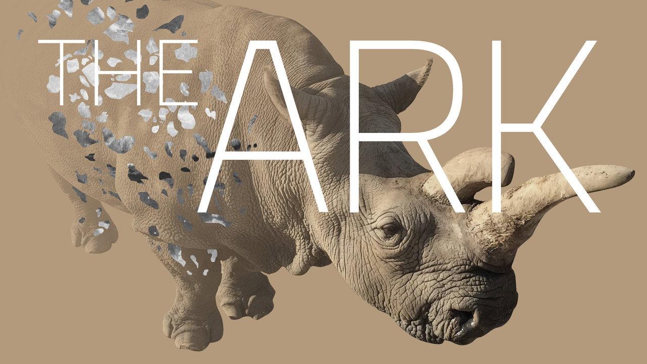 The Ark backdrop