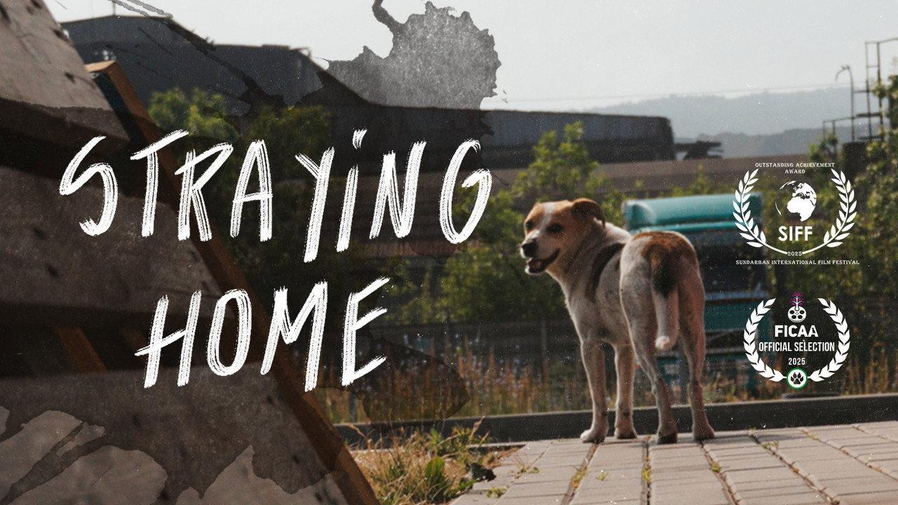 Straying home backdrop