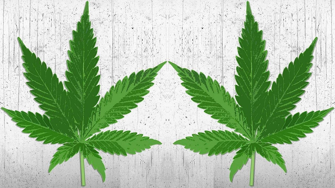 High There backdrop