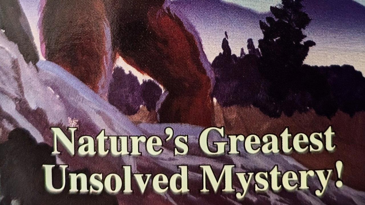 The Hunt for Bigfoot backdrop