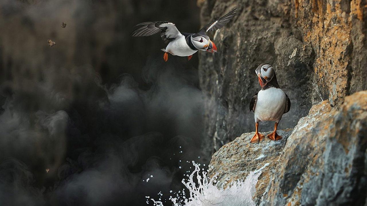 Inside Britain's National Parks backdrop