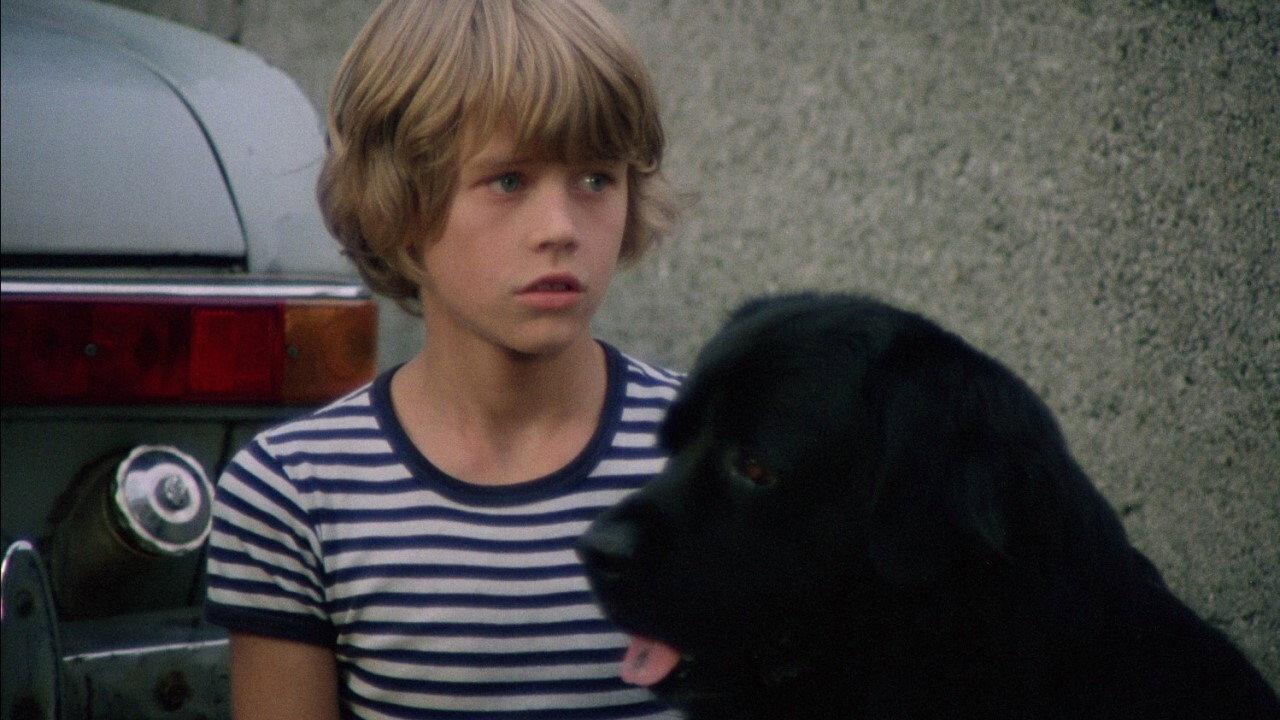 Hang on, Doggy backdrop