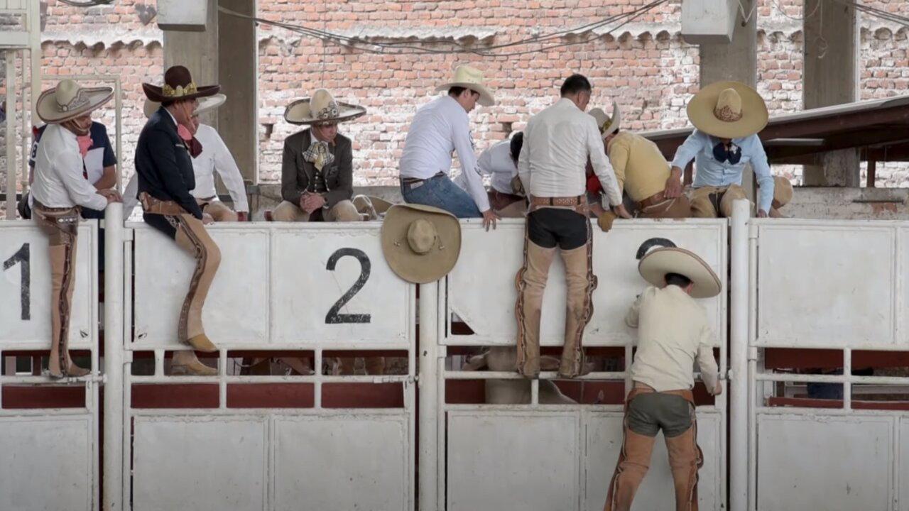 Charrería: Cultura de explotación y e abuso backdrop