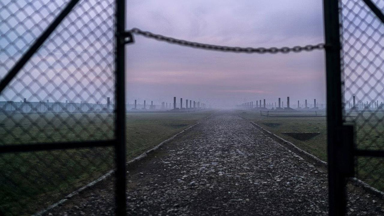 Auschwitz: Countdown to Liberation backdrop