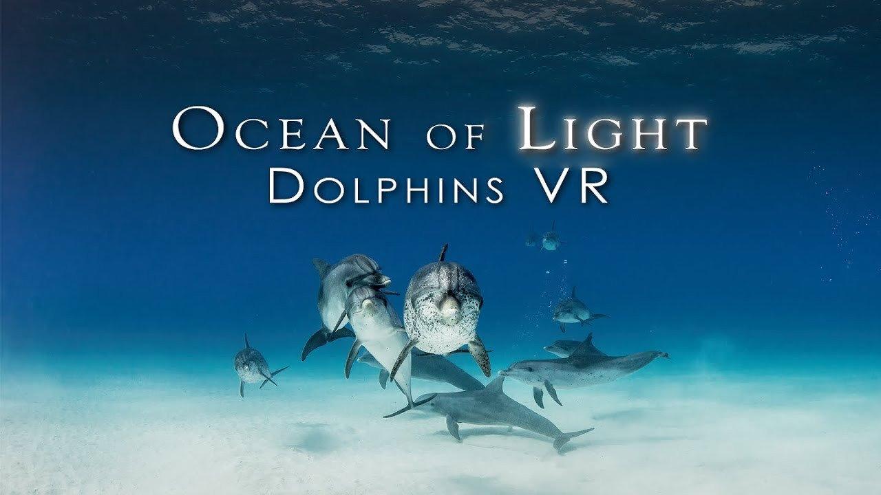 Ocean of Light - Dolphins VR backdrop