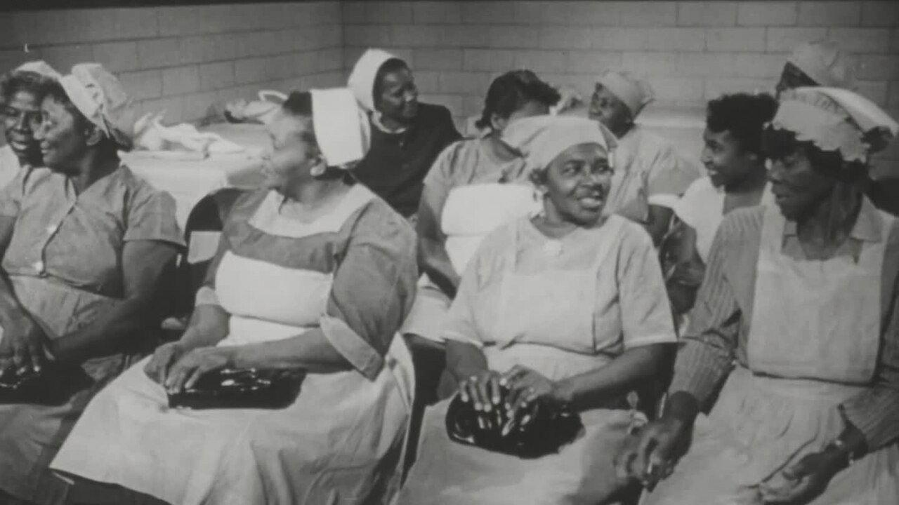 All My Babies... A Midwife's Own Story backdrop