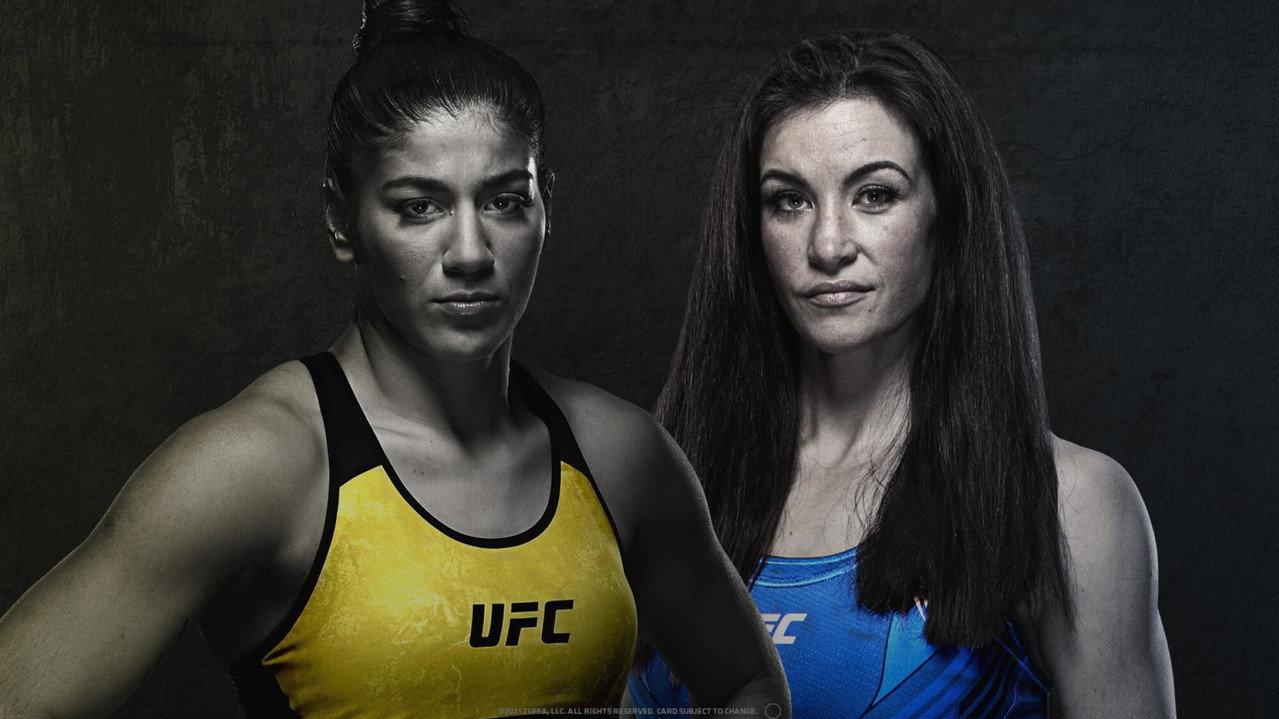 UFC Fight Night 198: Vieira vs. Tate backdrop