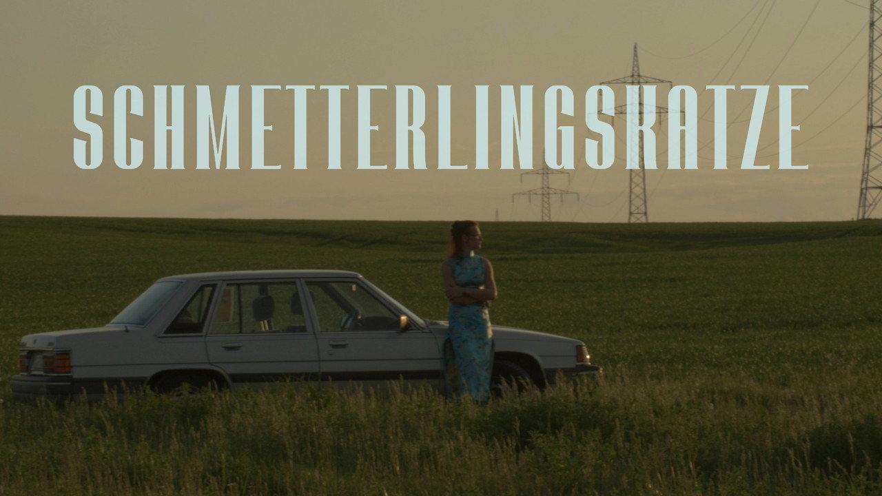 Schmetterlingskatze backdrop