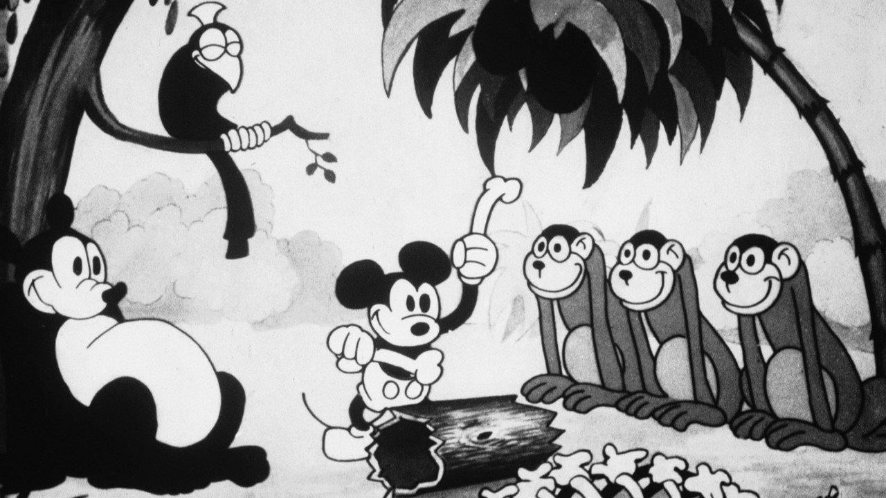 Jungle Rhythm backdrop