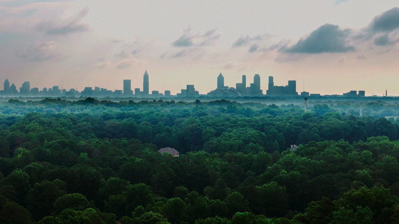 The Tree Economy backdrop