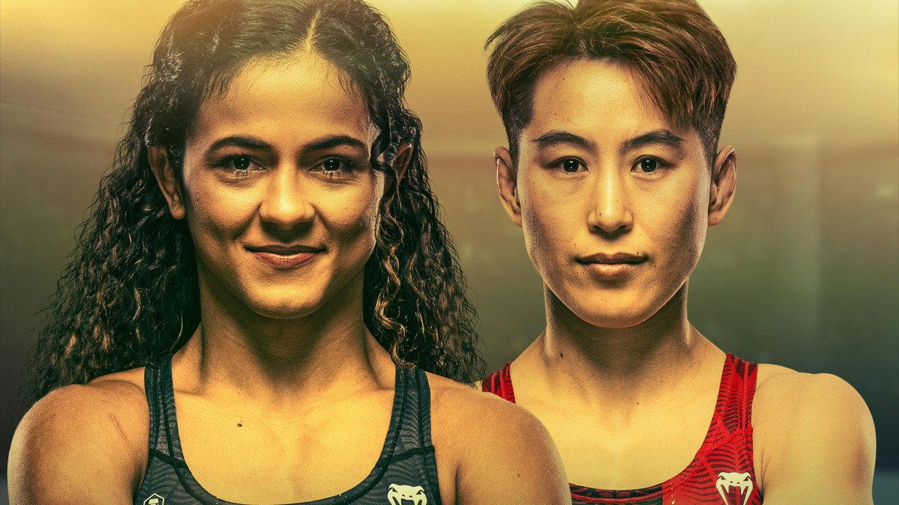 UFC 332: Silva vs. Wang backdrop