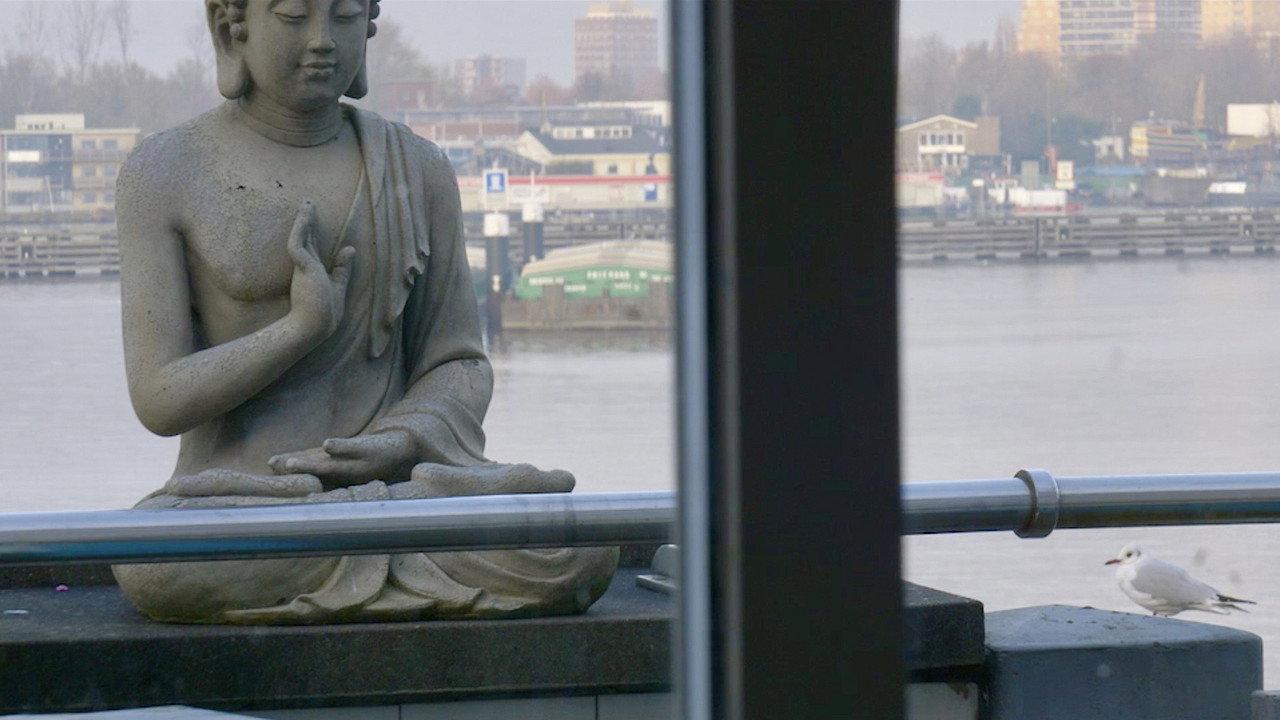 The Mirror and the Window backdrop