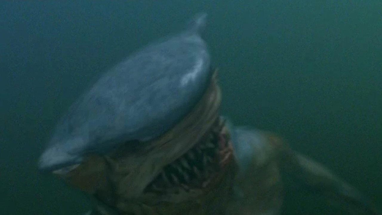 Hammerhead backdrop