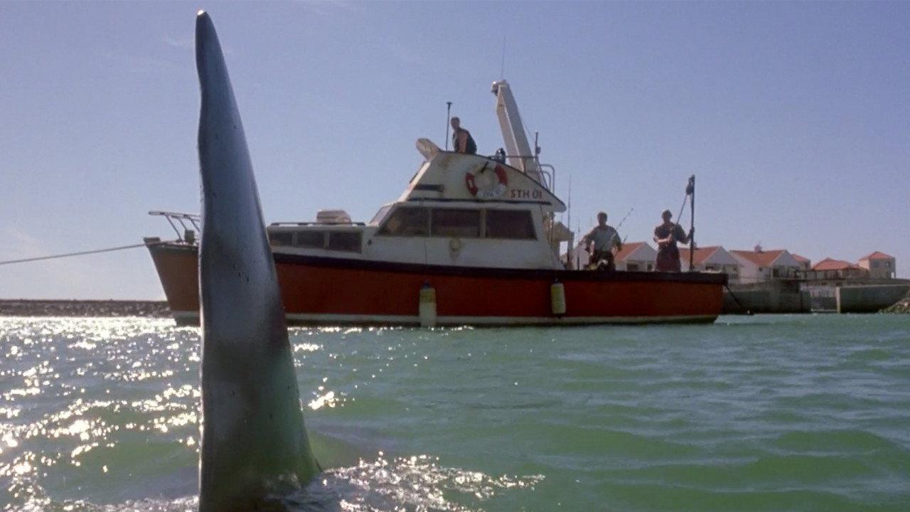 Shark Attack 2 backdrop
