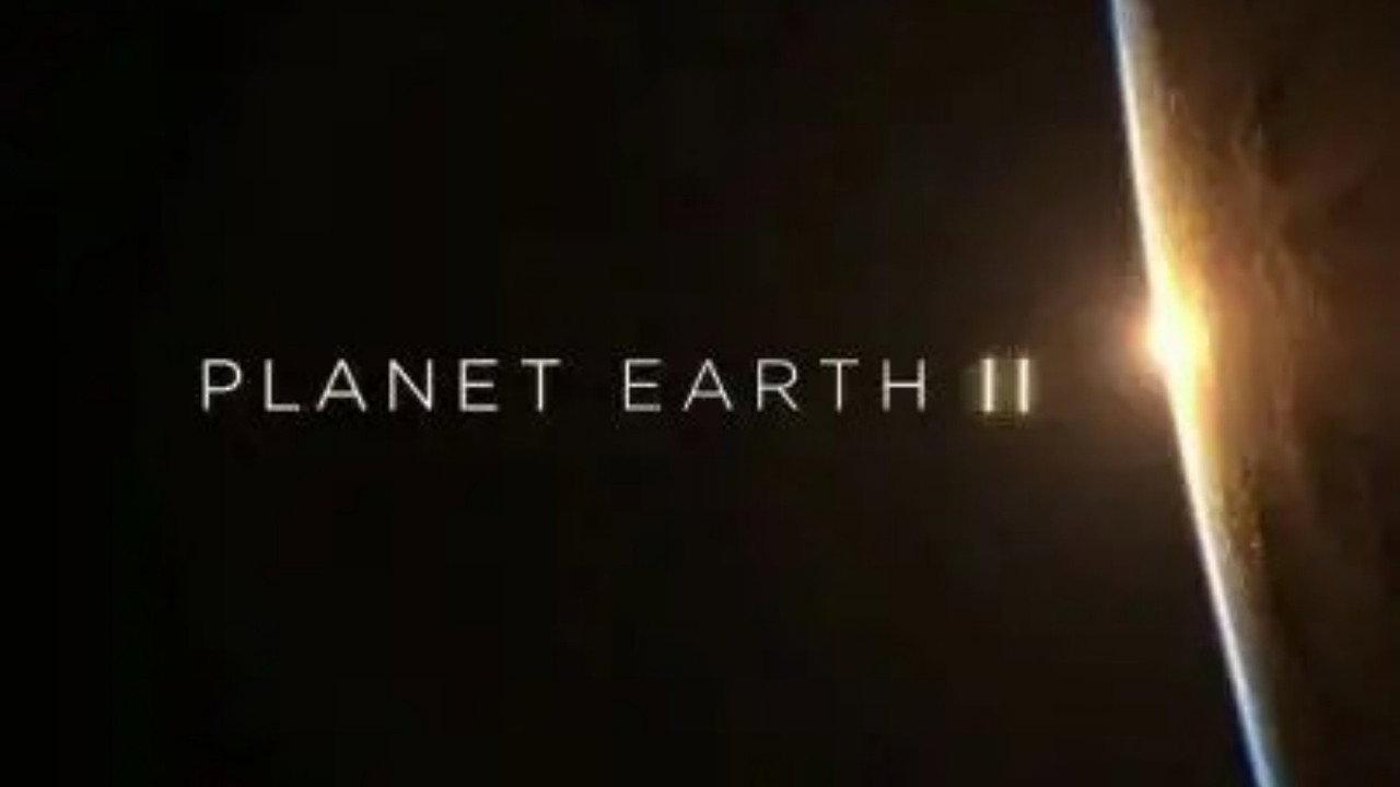 Planet Earth II: A World of Wonder backdrop