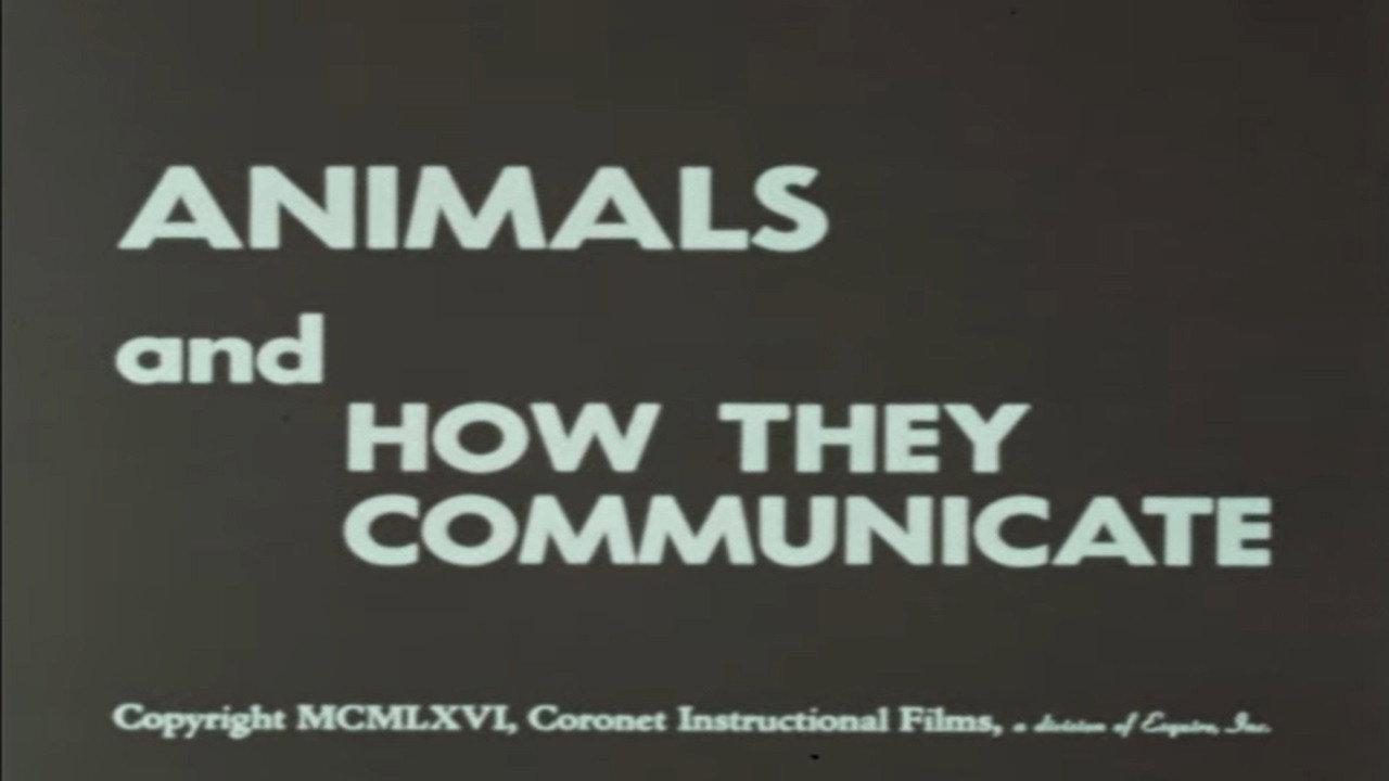 Animals and How They Communicate backdrop