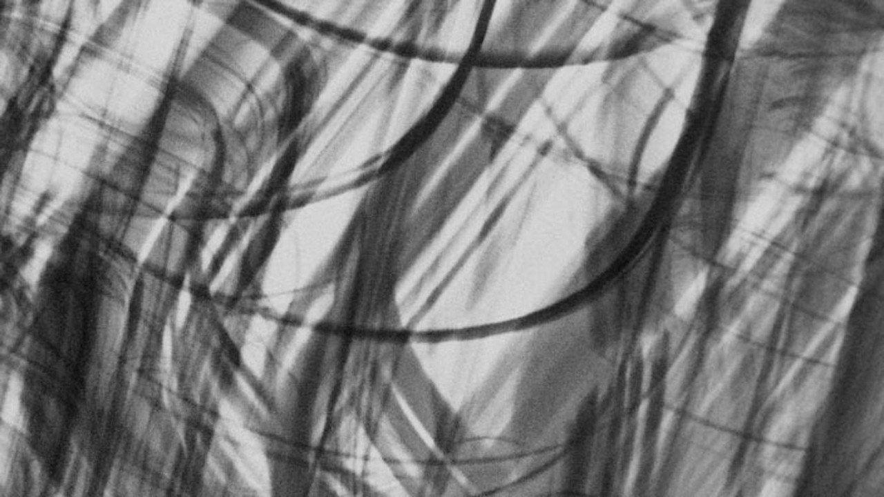 Mamori backdrop