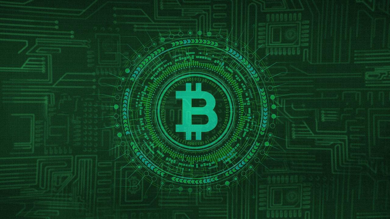 Cryptokoorts backdrop