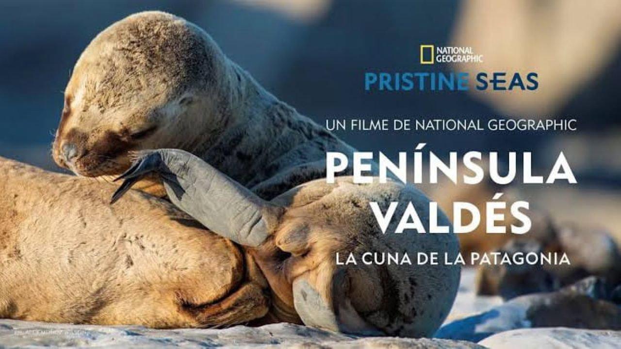 Península Valdés: La Cuna de la Patagonia backdrop