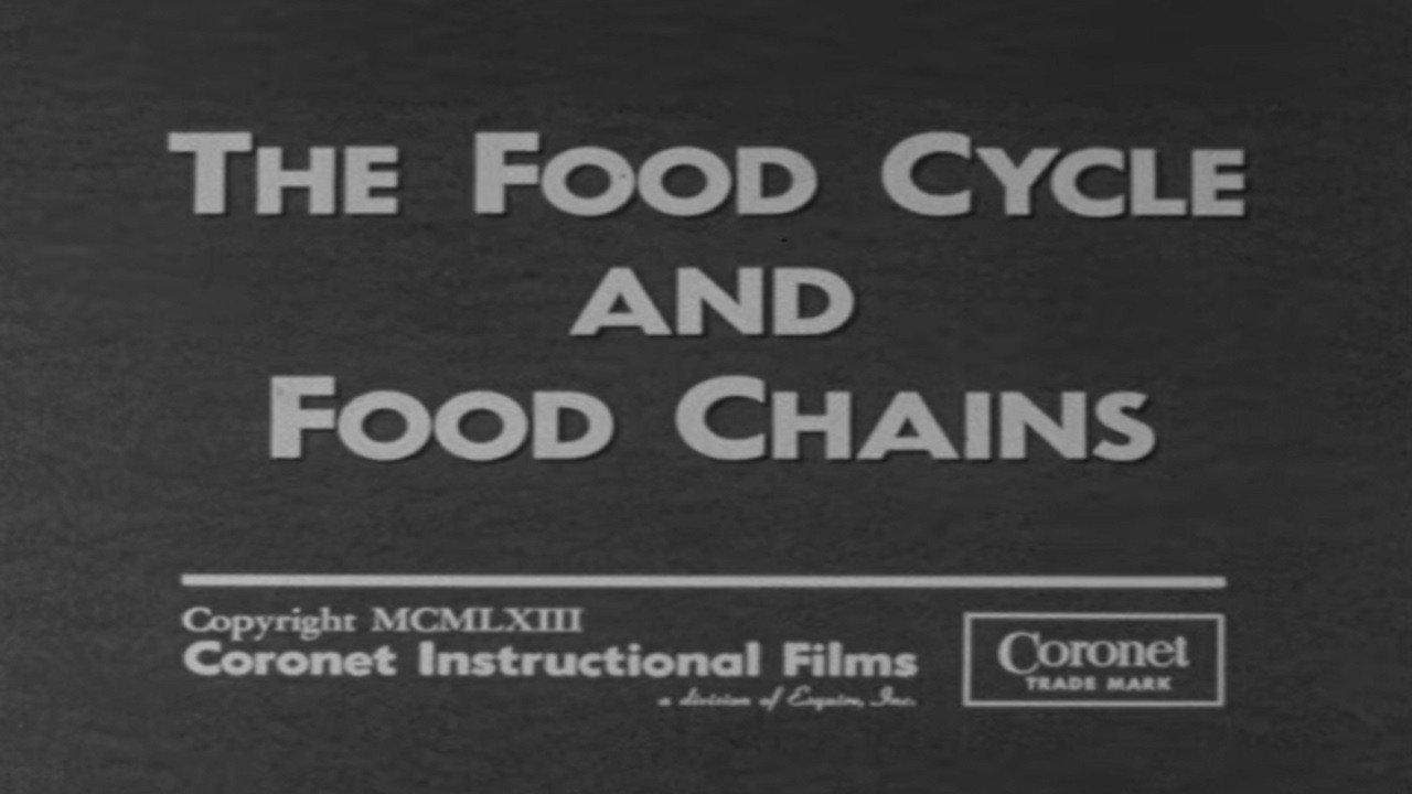 The Food Cycle and Food Chains backdrop