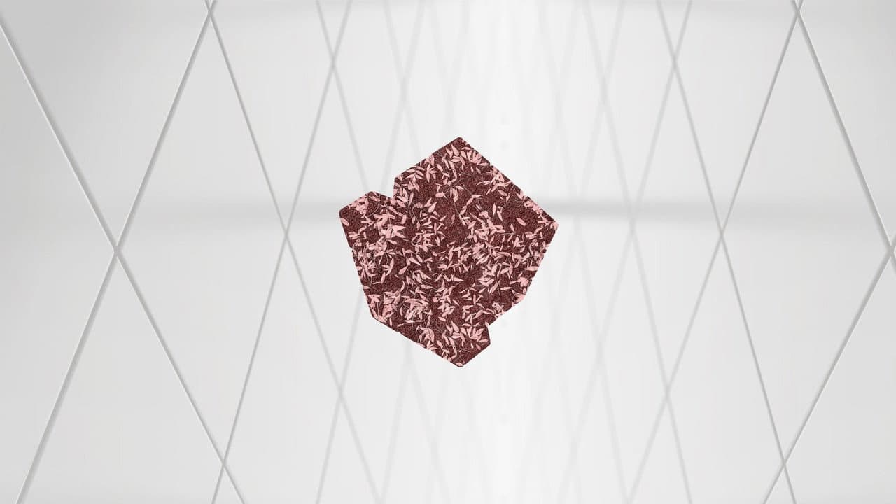 crhumness 3 backdrop