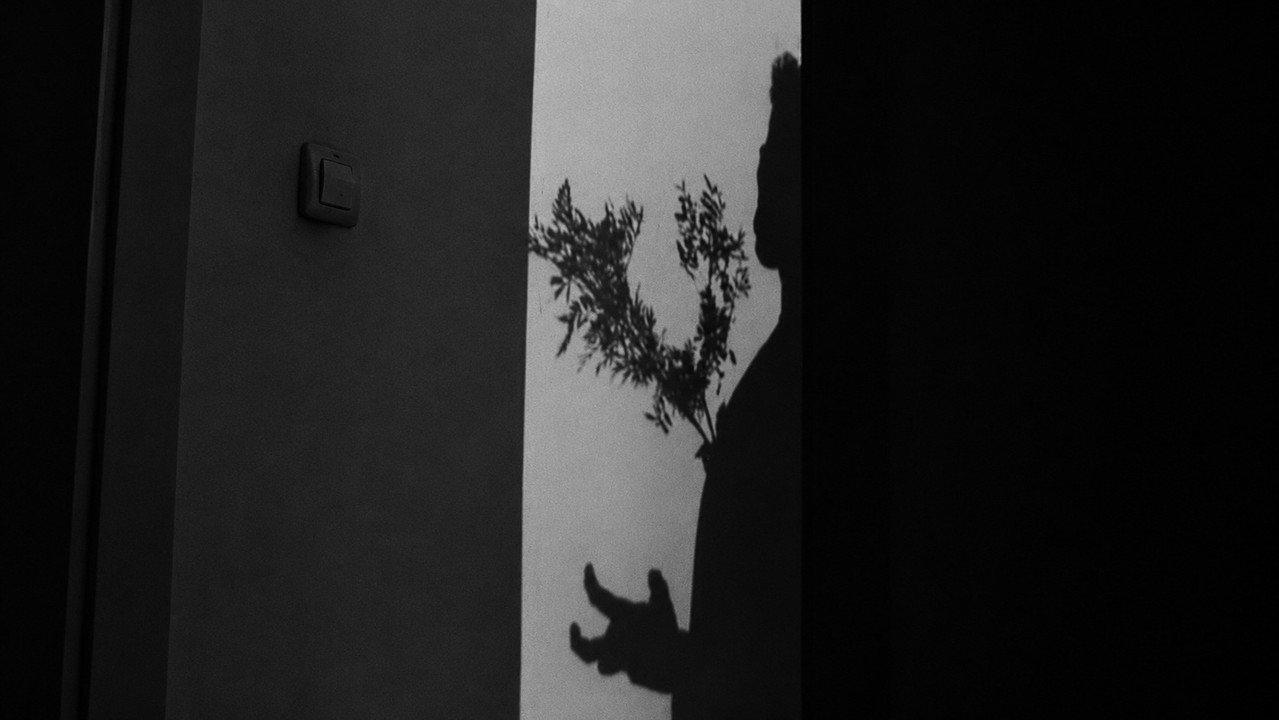 L'ARBRE backdrop