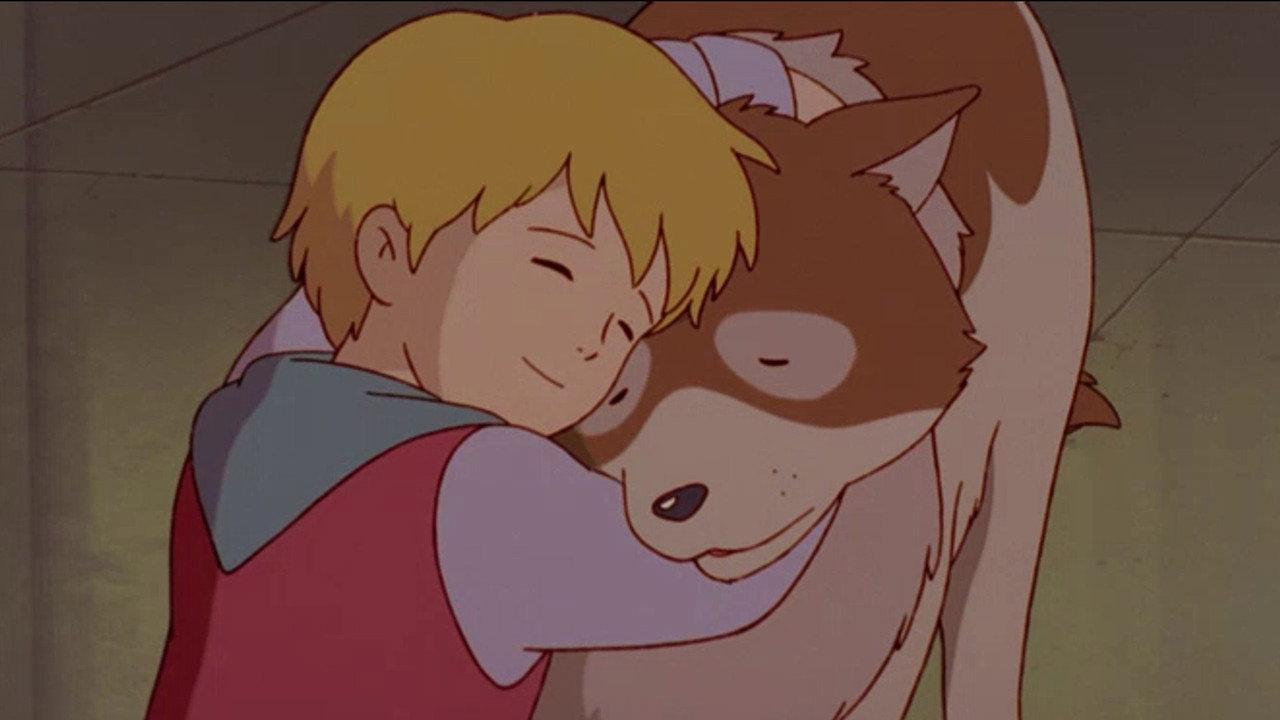 The Dog of Flanders backdrop