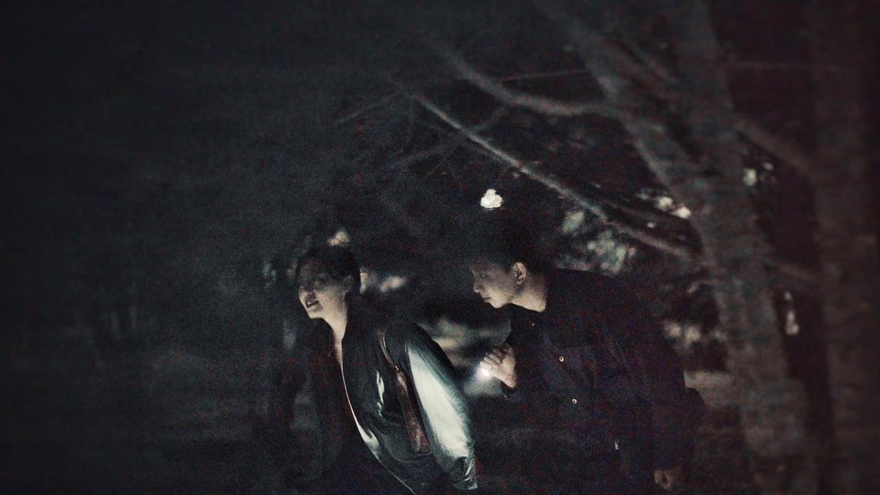 A Nocturnal Roam backdrop