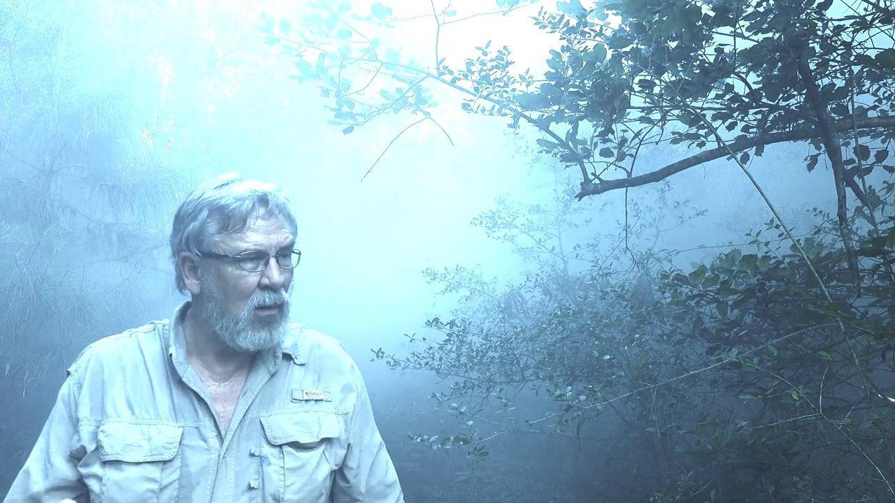 Alone with Bigfoot backdrop
