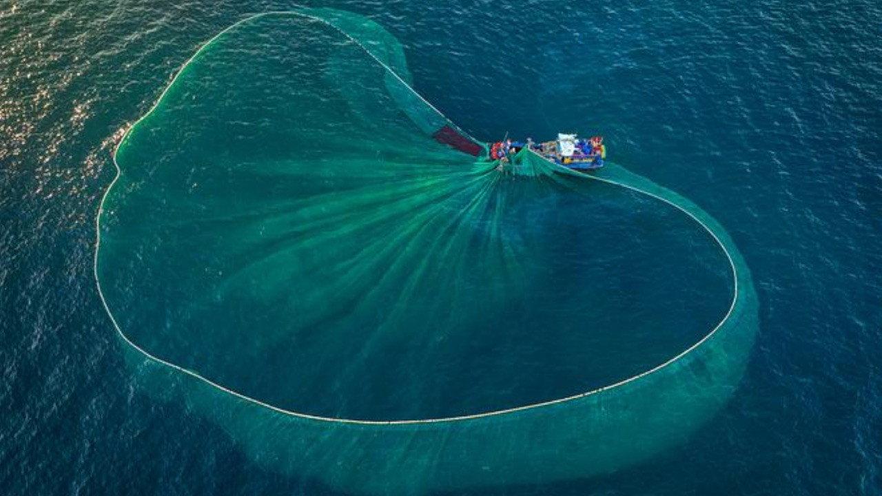 Au nom de la mer : vers une pêche durable ? backdrop
