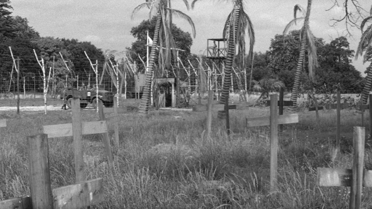 The Camp on Blood Island backdrop