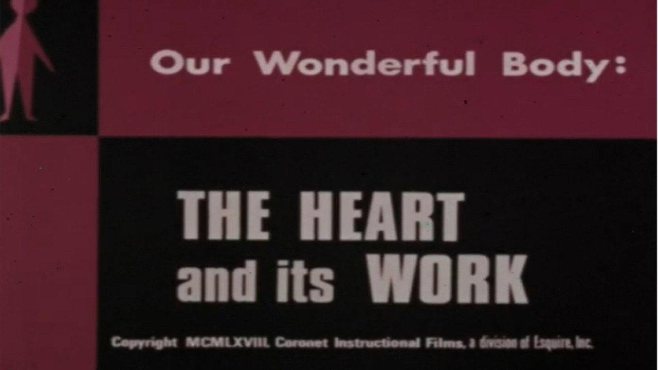 Our Wonderful Body: The Heart and Its Work backdrop
