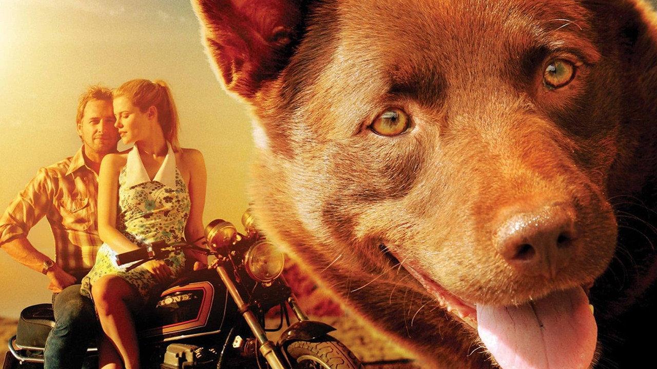 Red Dog backdrop
