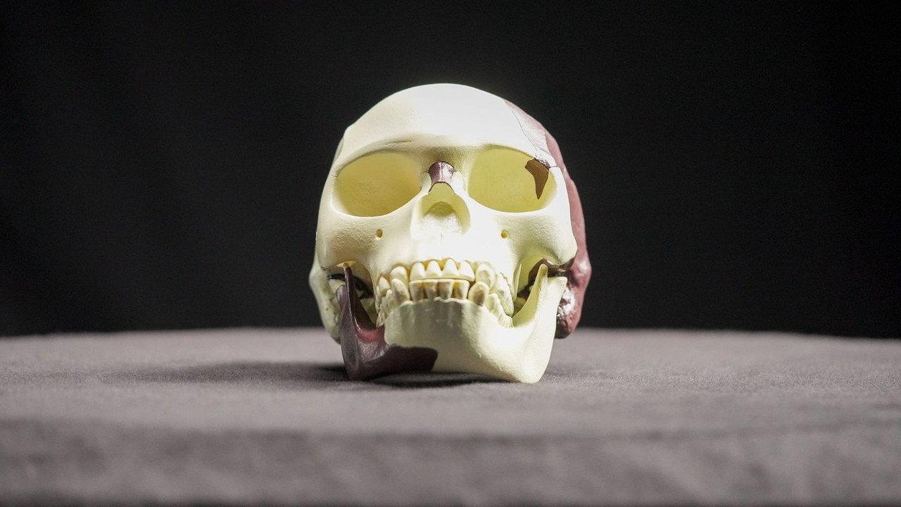 Fraudes et Mensonges Scientifiques backdrop