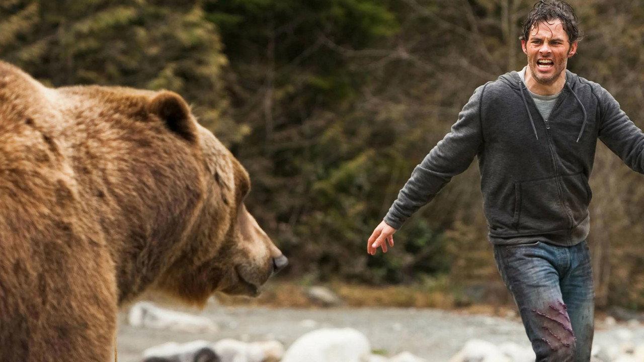 Into the Grizzly Maze backdrop