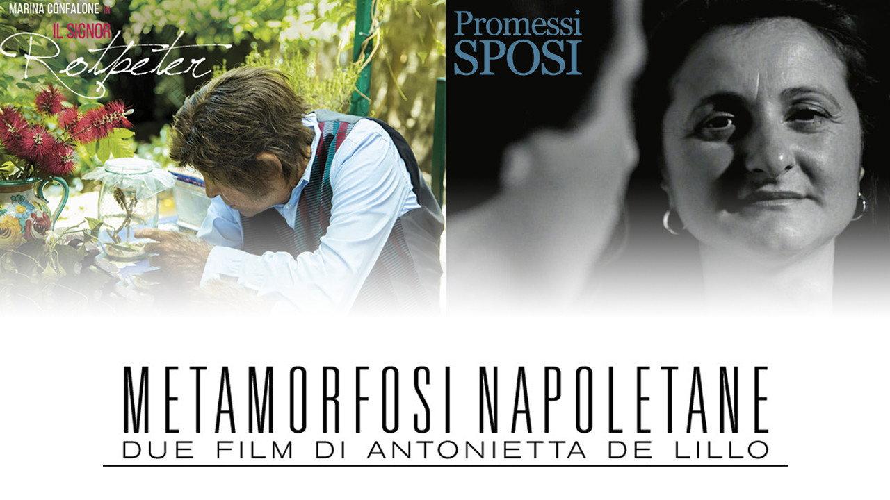 Metamorfosi Napoletane backdrop