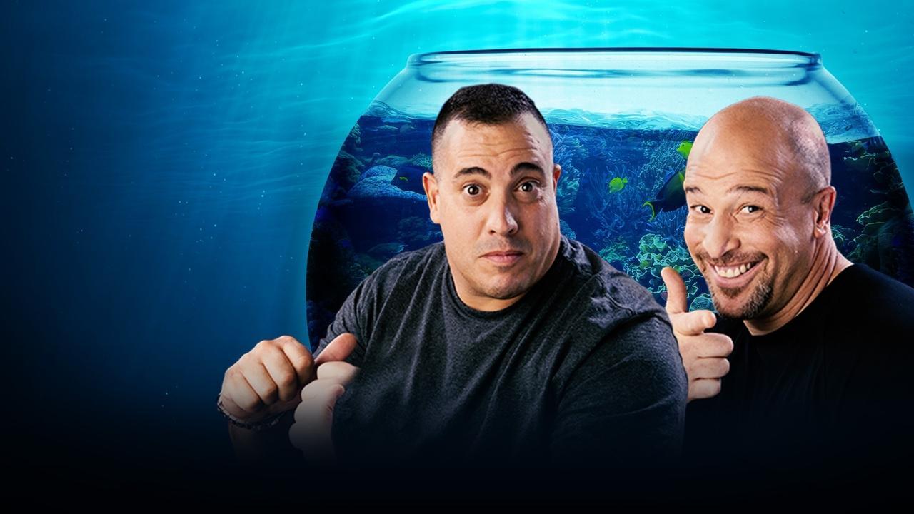 Tanked backdrop