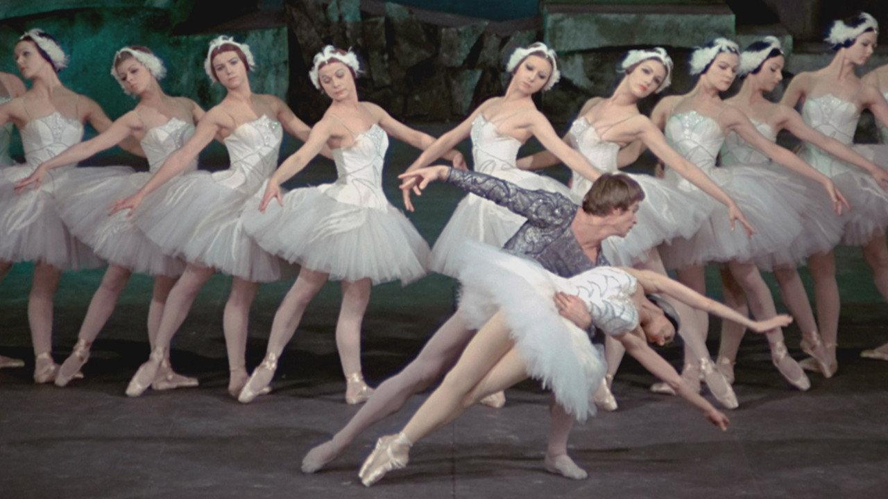 Swan Lake backdrop